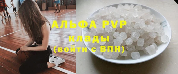 эйфоретик Инта