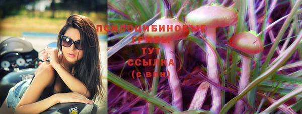 стафф Алзамай