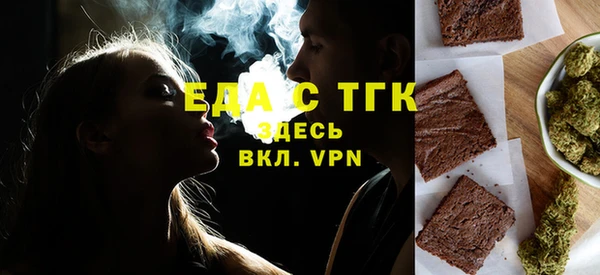 индика Алексин