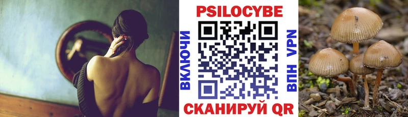 Галлюциногенные грибы Psilocybe  Таруса 